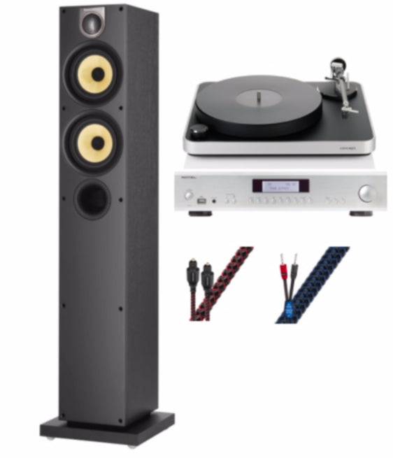 HiFi Vinyl Audiophile System 3
